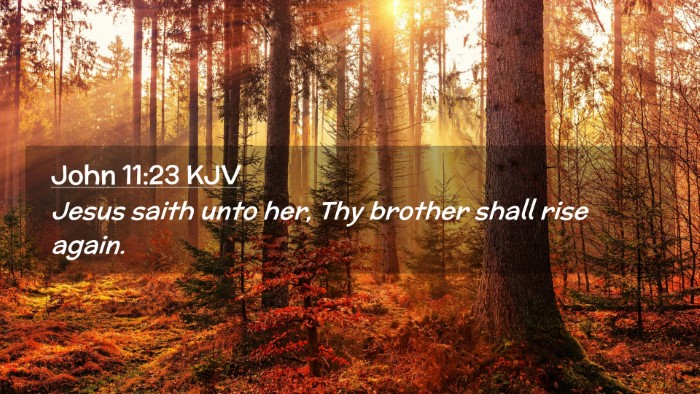 Picture 02 - John 11:23 KJV Desktop Wallpaper - Jesus saith unto her, Thy brother shall rise - Desktop Bible Verse Wallpaper