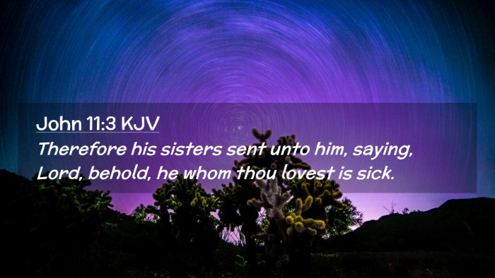 Picture 02 - John 11:3 KJV Desktop Wallpaper - Therefore his sisters sent unto him, saying, - Desktop Bible Verse Wallpaper