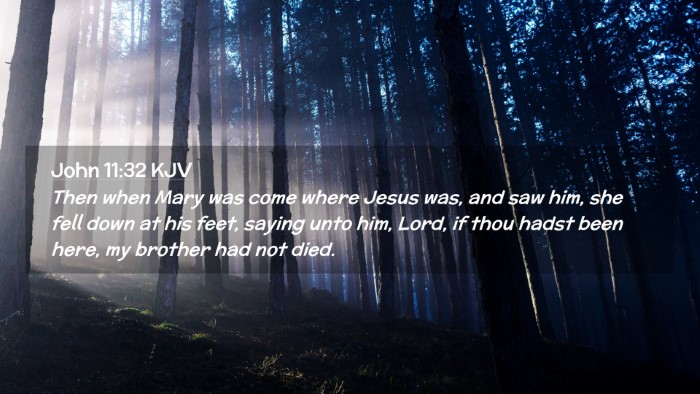 Picture 02 - John 11:32 KJV Desktop Wallpaper - Then when Mary was come where Jesus was, and saw - Desktop Bible Verse Wallpaper