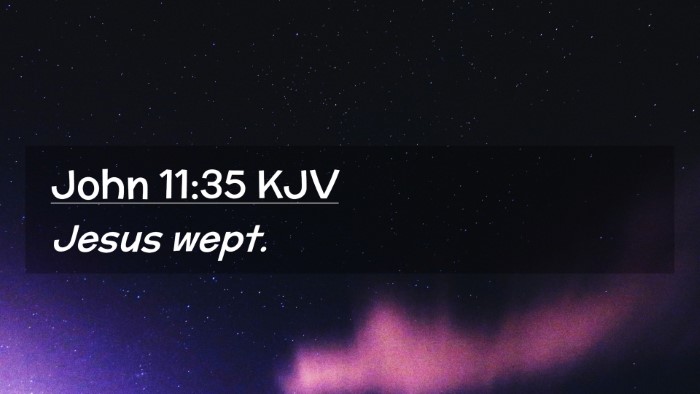 Picture 02 - John 11:35 KJV Desktop Wallpaper - Jesus - Desktop Bible Verse Wallpaper