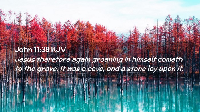 Picture 02 - John 11:38 KJV Desktop Wallpaper - Jesus therefore again groaning in himself cometh - Desktop Bible Verse Wallpaper