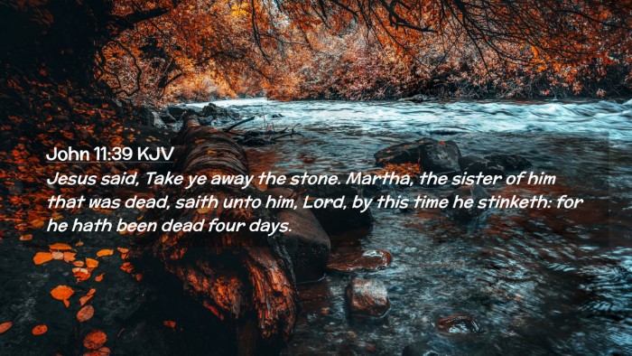 Picture 02 - John 11:39 KJV Desktop Wallpaper - Jesus said, Take ye away the stone. Martha, the - Desktop Bible Verse Wallpaper