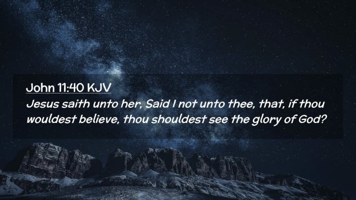Picture 02 - John 11:40 KJV Desktop Wallpaper - Jesus saith unto her, Said I not unto thee, that, - Desktop Bible Verse Wallpaper