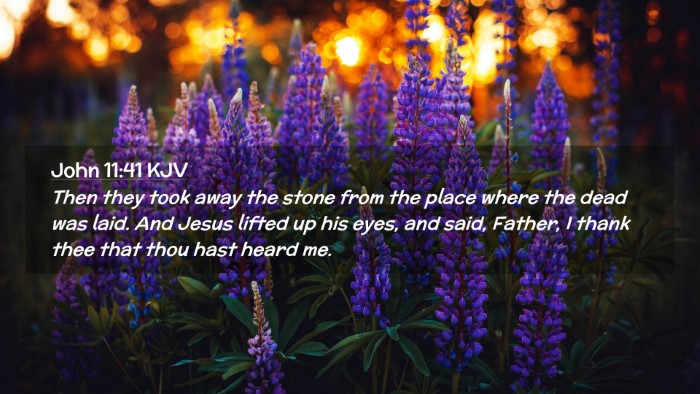 Picture 02 - John 11:41 KJV Desktop Wallpaper - Then they took away the stone from the place - Desktop Bible Verse Wallpaper