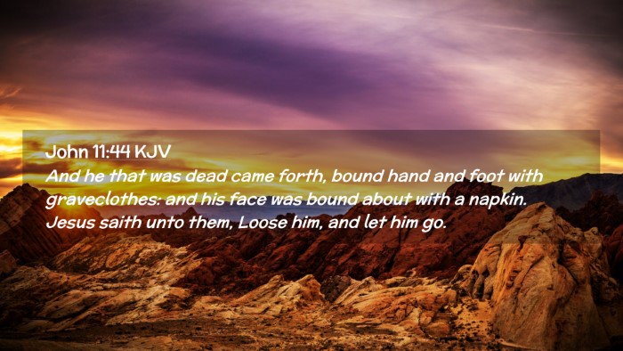 Picture 02 - John 11:44 KJV Desktop Wallpaper - And he that was dead came forth, bound hand and - Desktop Bible Verse Wallpaper