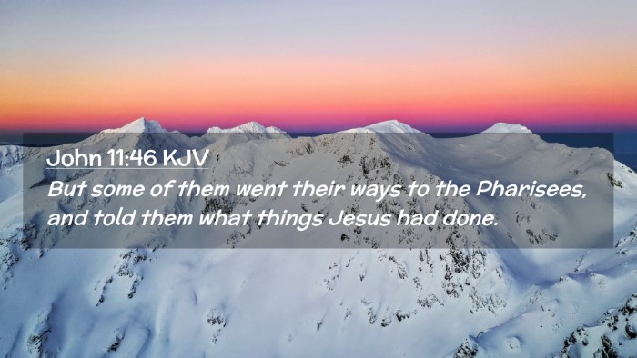Picture 02 - John 11:46 KJV Desktop Wallpaper - But some of them went their ways to the - Desktop Bible Verse Wallpaper