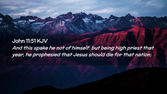 Picture 02 - John 11:51 KJV Desktop Wallpaper - And this spake he not of himself: but being high - Desktop Bible Verse Wallpaper