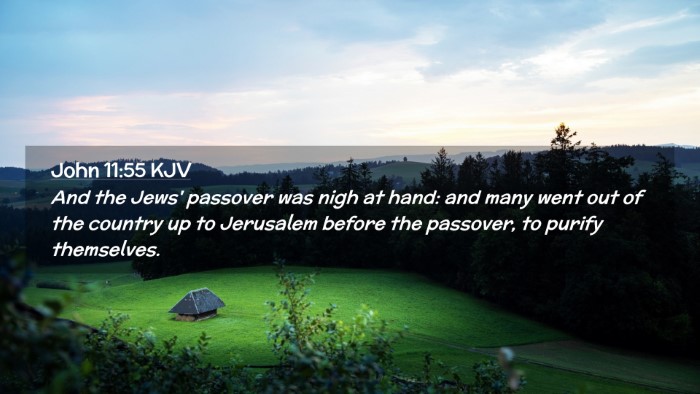 Picture 02 - John 11:55 KJV Desktop Wallpaper - And the Jews' passover was nigh at hand: and many - Desktop Bible Verse Wallpaper