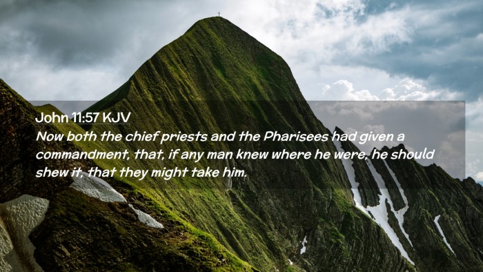 Picture 02 - John 11:57 KJV Desktop Wallpaper - Now both the chief priests and the Pharisees had - Desktop Bible Verse Wallpaper