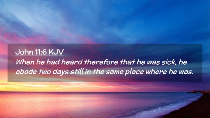 Picture 02 - John 11:6 KJV Desktop Wallpaper - When he had heard therefore that he was sick, he - Desktop Bible Verse Wallpaper