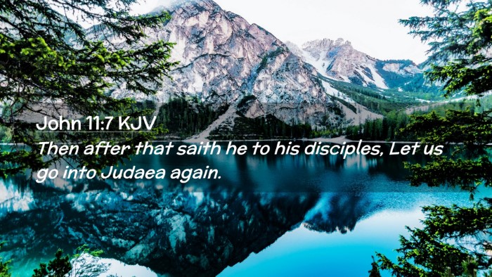 Picture 02 - John 11:7 KJV Desktop Wallpaper - Then after that saith he to his disciples, Let us - Desktop Bible Verse Wallpaper