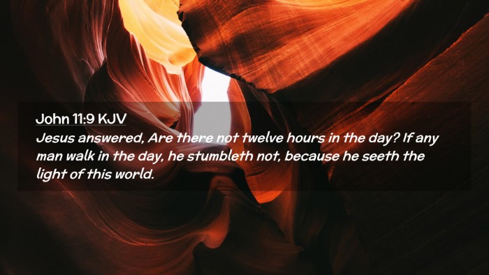 Picture 02 - John 11:9 KJV Desktop Wallpaper - Jesus answered, Are there not twelve hours in the - Desktop Bible Verse Wallpaper