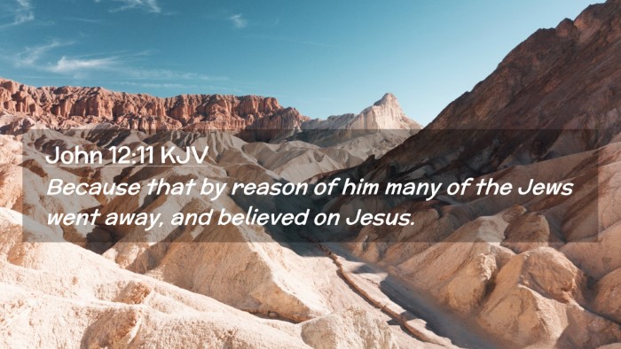 Picture 02 - John 12:11 KJV Desktop Wallpaper - Because that by reason of him many of the Jews - Desktop Bible Verse Wallpaper