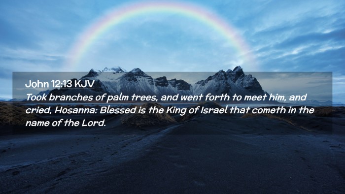 Picture 02 - John 12:13 KJV Desktop Wallpaper - Took branches of palm trees, and went forth to - Desktop Bible Verse Wallpaper