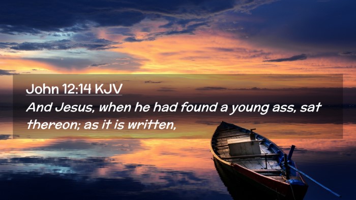 Picture 02 - John 12:14 KJV Desktop Wallpaper - And Jesus, when he had found a young ass, sat - Desktop Bible Verse Wallpaper