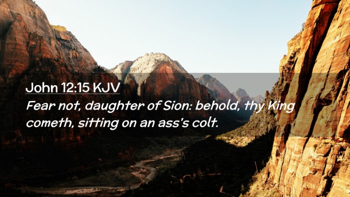 Picture 02 - John 12:15 KJV Desktop Wallpaper - Fear not, daughter of Sion: behold, thy King - Desktop Bible Verse Wallpaper