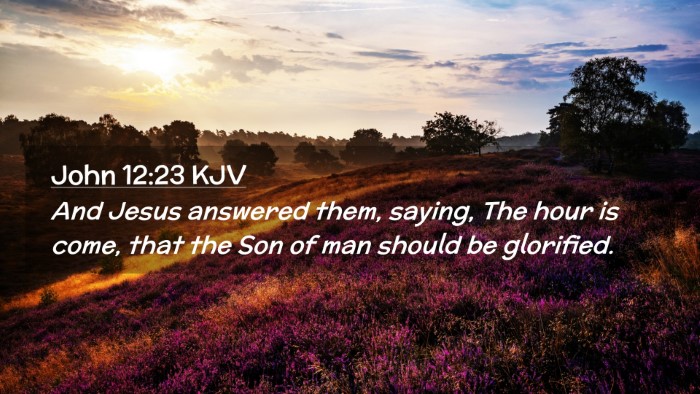 Picture 02 - John 12:23 KJV Desktop Wallpaper - And Jesus answered them, saying, The hour is - Desktop Bible Verse Wallpaper