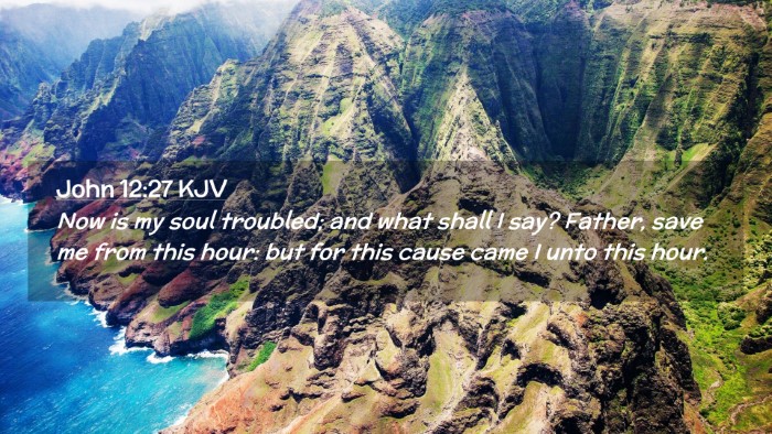 Picture 02 - John 12:27 KJV Desktop Wallpaper - Now is my soul troubled; and what shall I say? - Desktop Bible Verse Wallpaper
