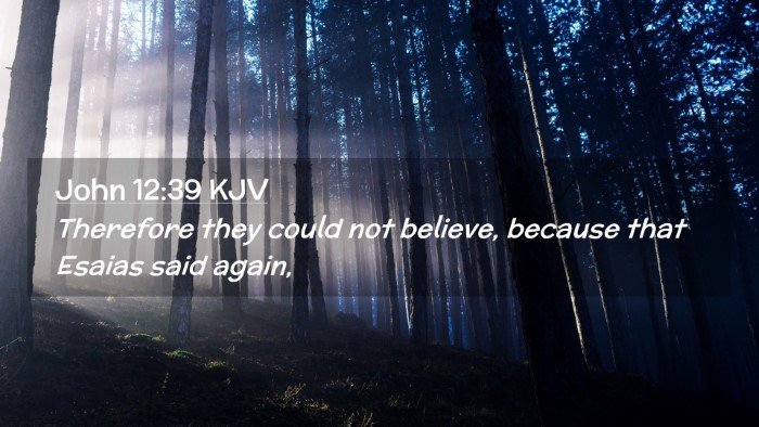 Picture 02 - John 12:39 KJV Desktop Wallpaper - Therefore they could not believe, because that - Desktop Bible Verse Wallpaper