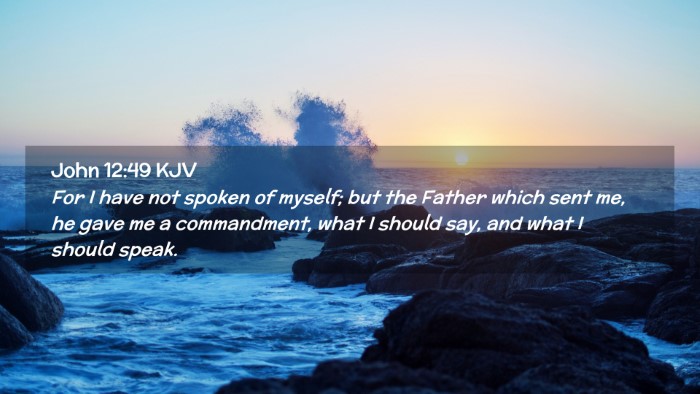 Picture 02 - John 12:49 KJV Desktop Wallpaper - For I have not spoken of myself; but the Father - Desktop Bible Verse Wallpaper