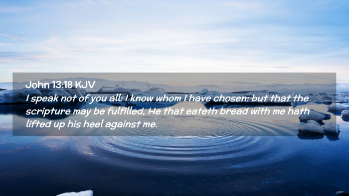 Picture 02 - John 13:18 KJV Desktop Wallpaper - I speak not of you all: I know whom I have - Desktop Bible Verse Wallpaper