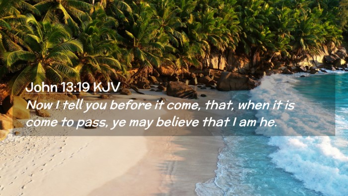 Picture 02 - John 13:19 KJV Desktop Wallpaper - Now I tell you before it come, that, when it is - Desktop Bible Verse Wallpaper