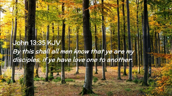 Picture 02 - John 13:35 KJV Desktop Wallpaper - By this shall all men know that ye are my - Desktop Bible Verse Wallpaper