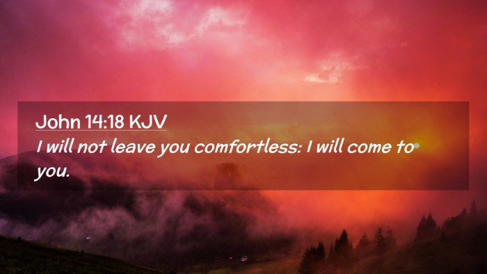 Picture 02 - John 14:18 KJV Desktop Wallpaper - I will not leave you comfortless: I will come to - Desktop Bible Verse Wallpaper