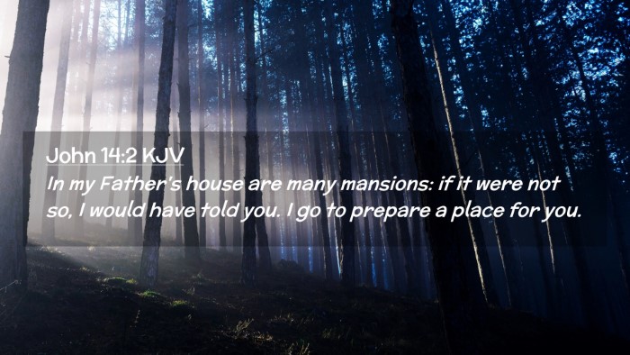 Picture 02 - John 14:2 KJV Desktop Wallpaper - In my Father's house are many mansions: if it - Desktop Bible Verse Wallpaper