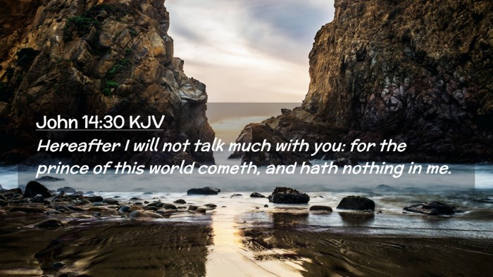 Picture 02 - John 14:30 KJV Desktop Wallpaper - Hereafter I will not talk much with you: for the - Desktop Bible Verse Wallpaper