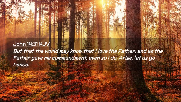 Picture 02 - John 14:31 KJV Desktop Wallpaper - But that the world may know that I love the - Desktop Bible Verse Wallpaper