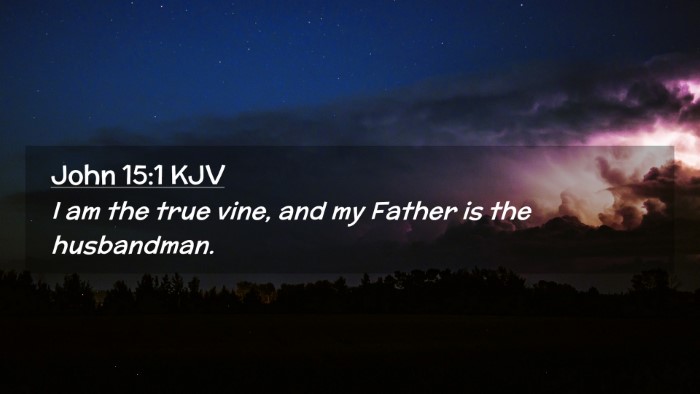 Picture 02 - John 15:1 KJV Desktop Wallpaper - I am the true vine, and my Father is the - Desktop Bible Verse Wallpaper