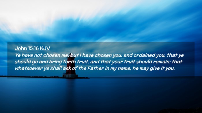 Picture 02 - John 15:16 KJV Desktop Wallpaper - Ye have not chosen me, but I have chosen you, and - Desktop Bible Verse Wallpaper