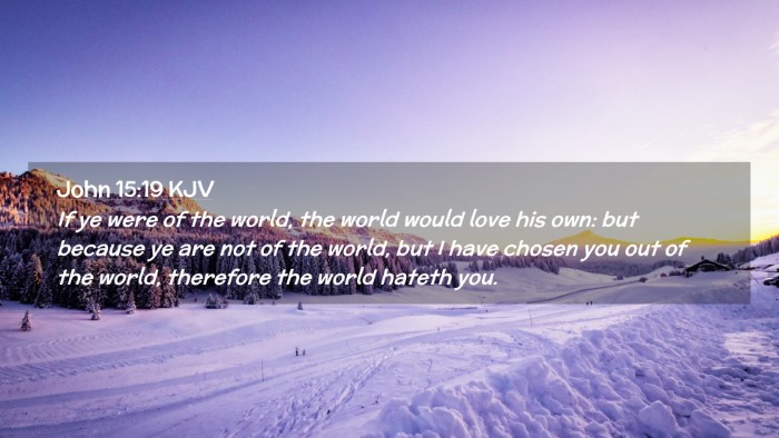 Picture 02 - John 15:19 KJV Desktop Wallpaper - If ye were of the world, the world would love his - Desktop Bible Verse Wallpaper