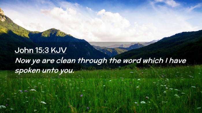 Picture 02 - John 15:3 KJV Desktop Wallpaper - Now ye are clean through the word which I have - Desktop Bible Verse Wallpaper