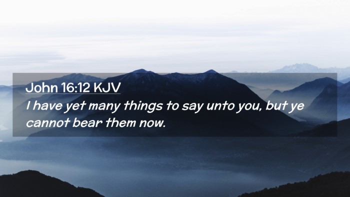 Picture 02 - John 16:12 KJV Desktop Wallpaper - I have yet many things to say unto you, but ye - Desktop Bible Verse Wallpaper
