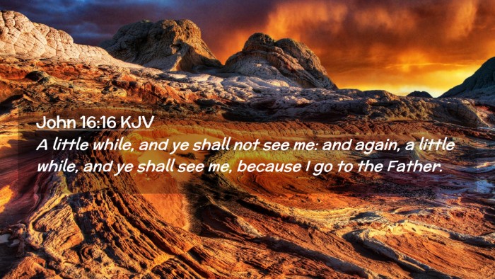 Picture 02 - John 16:16 KJV Desktop Wallpaper - A little while, and ye shall not see me: and - Desktop Bible Verse Wallpaper