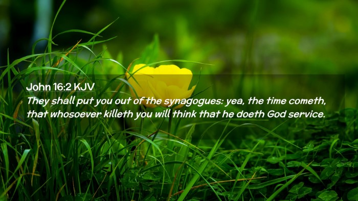 Picture 02 - John 16:2 KJV Desktop Wallpaper - They shall put you out of the synagogues: yea, - Desktop Bible Verse Wallpaper