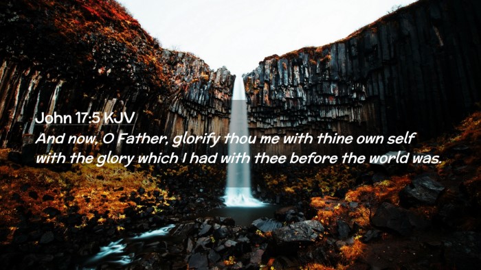 Picture 02 - John 17:5 KJV Desktop Wallpaper - And now, O Father, glorify thou me with thine own - Desktop Bible Verse Wallpaper