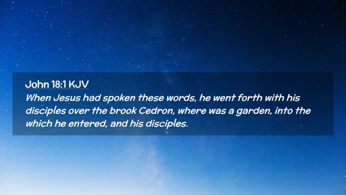 Picture 02 - John 18:1 KJV Desktop Wallpaper - When Jesus had spoken these words, he went forth - Desktop Bible Verse Wallpaper