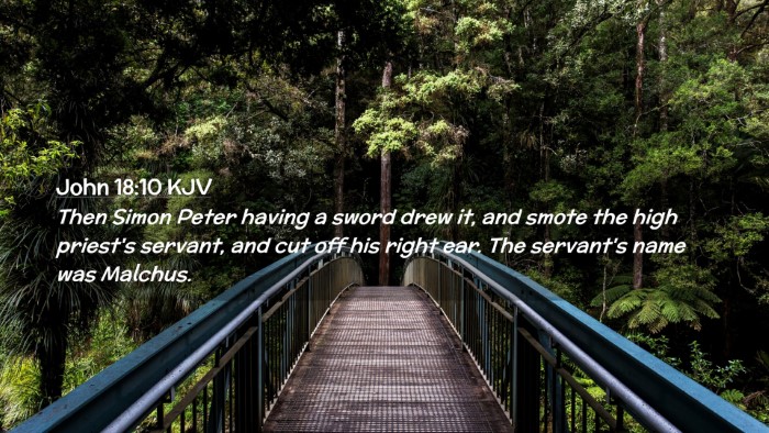 Picture 02 - John 18:10 KJV Desktop Wallpaper - Then Simon Peter having a sword drew it, and - Desktop Bible Verse Wallpaper