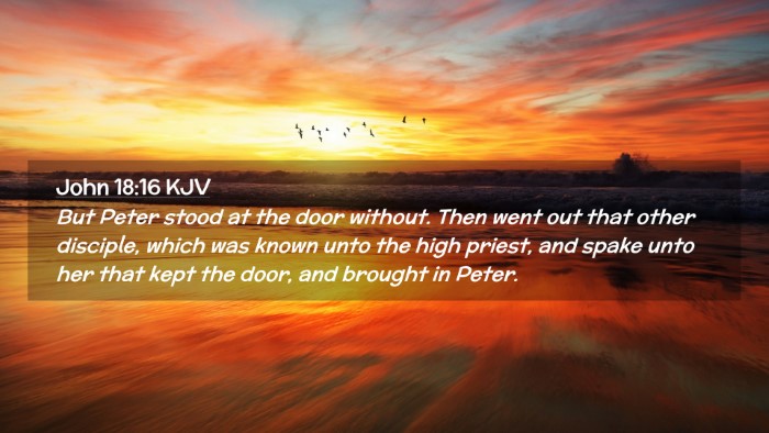 Picture 02 - John 18:16 KJV Desktop Wallpaper - But Peter stood at the door without. Then went - Desktop Bible Verse Wallpaper