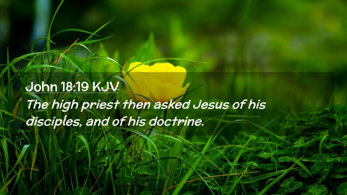 Picture 02 - John 18:19 KJV Desktop Wallpaper - The high priest then asked Jesus of his - Desktop Bible Verse Wallpaper