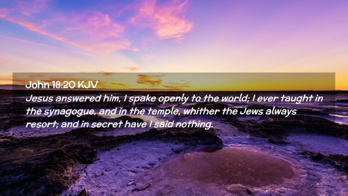 Picture 02 - John 18:20 KJV Desktop Wallpaper - Jesus answered him, I spake openly to the world; - Desktop Bible Verse Wallpaper