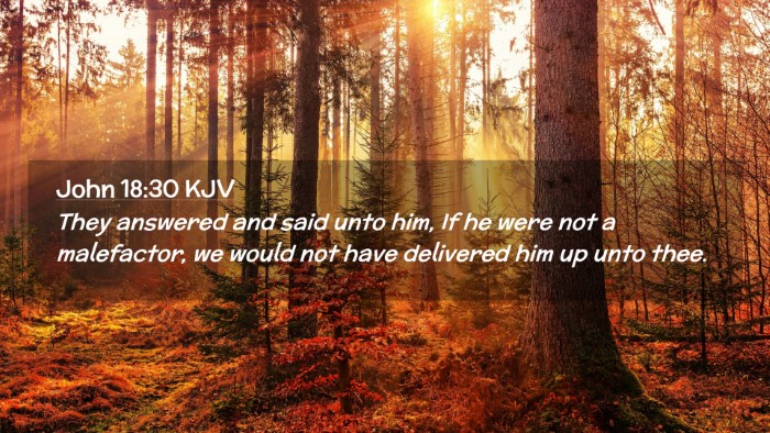 Picture 02 - John 18:30 KJV Desktop Wallpaper - They answered and said unto him, If he were not a - Desktop Bible Verse Wallpaper