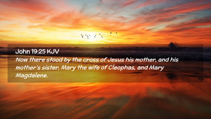 Picture 02 - John 19:25 KJV Desktop Wallpaper - Now there stood by the cross of Jesus his mother, - Desktop Bible Verse Wallpaper