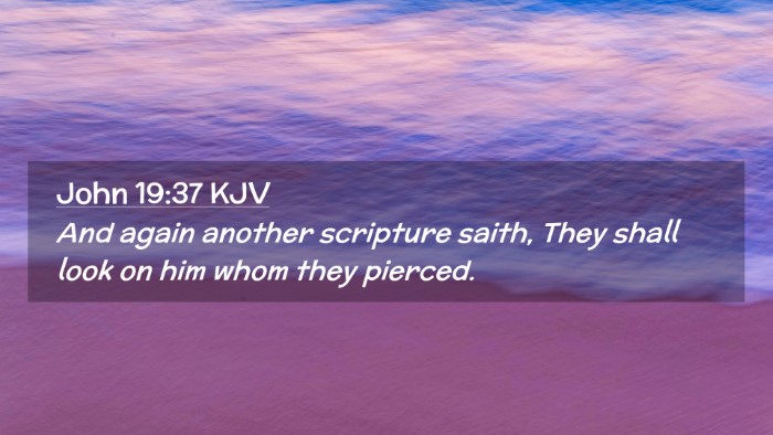 Picture 02 - John 19:37 KJV Desktop Wallpaper - And again another scripture saith, They shall - Desktop Bible Verse Wallpaper