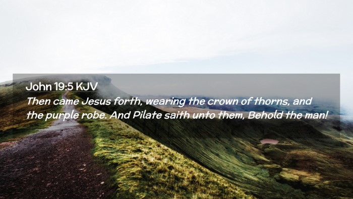 Picture 02 - John 19:5 KJV Desktop Wallpaper - Then came Jesus forth, wearing the crown of - Desktop Bible Verse Wallpaper