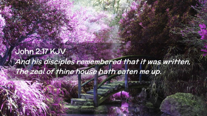 Picture 02 - John 2:17 KJV Desktop Wallpaper - And his disciples remembered that it was written, - Desktop Bible Verse Wallpaper