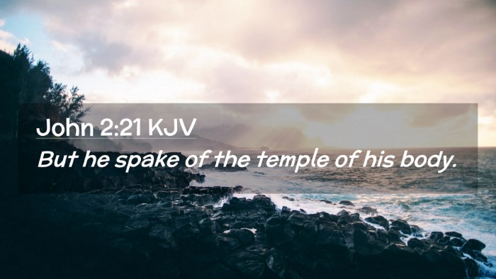 Picture 02 - John 2:21 KJV Desktop Wallpaper - But he spake of the temple of his - Desktop Bible Verse Wallpaper